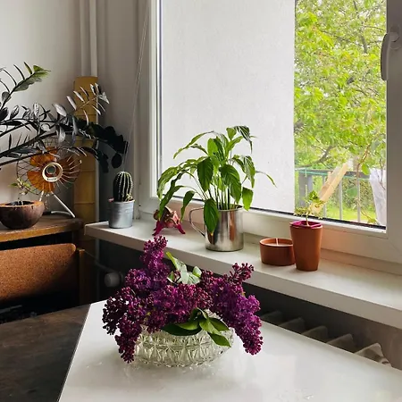 Cosy Near A Forest In *